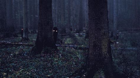 Embracing the Glow of the Woodland Spirit: Unleashing Your Inner Magic at Dusk